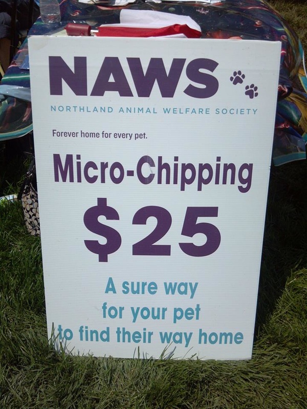 Microchipping