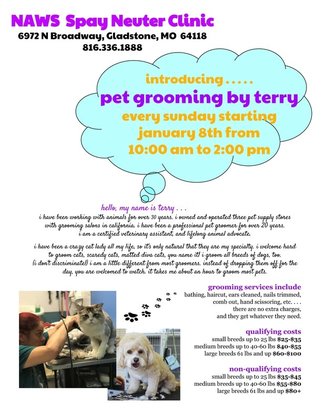 Pet Grooming