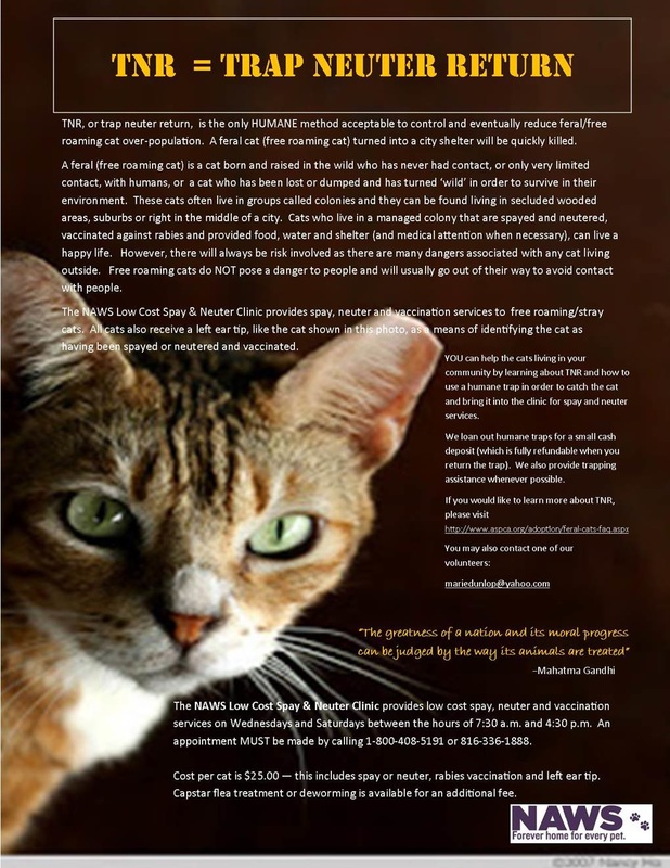 Trap Neuter Return